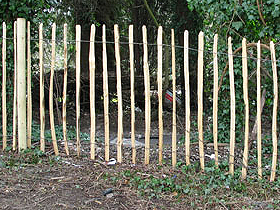 Chestnut Paling pets fencing in Guildford
