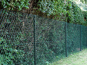 Green Chainlink Boundary Fencing In Oxshott