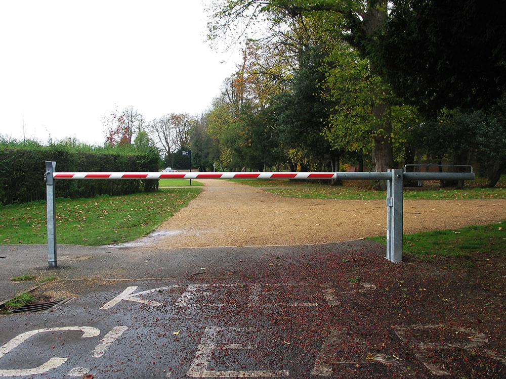 Slide Image